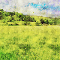 Buy canvas prints of Wild Flower Meadow, Muker, Swaledale (Watercolour  by Michael Shannon