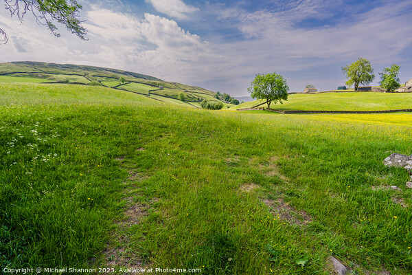 Swaledale scenery near Keld, Yorkshire Dales Natio Picture Board by Michael Shannon