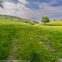 Buy canvas prints of Swaledale scenery near Keld, Yorkshire Dales Natio by Michael Shannon