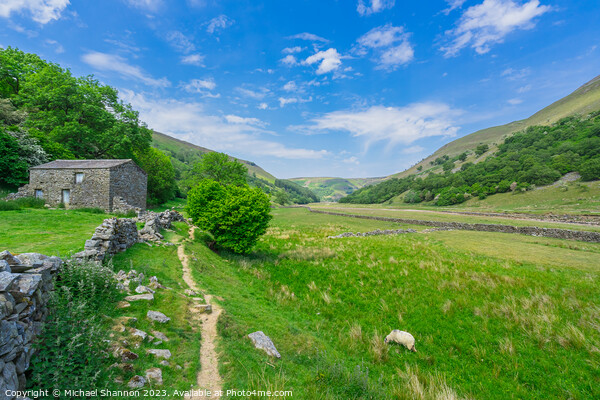 Tranquil Pathway in Swaledale's Breathtaking Lands Picture Board by Michael Shannon