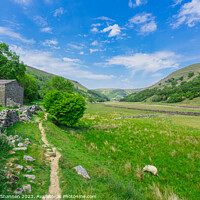Buy canvas prints of Tranquil Pathway in Swaledale's Breathtaking Lands by Michael Shannon