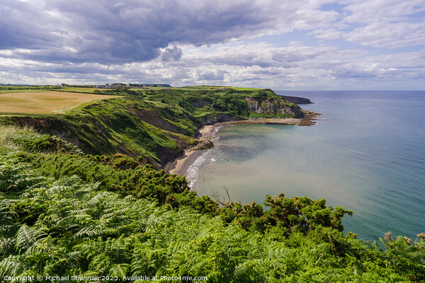 Coastal Panorama: Port Mulgrave Outlook Picture Board by Michael Shannon