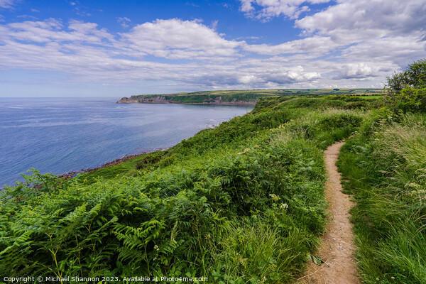 Coastal Charm: Cleveland Way - view towards Kettle Picture Board by Michael Shannon