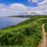 Buy canvas prints of Coastal Charm: Cleveland Way - view towards Kettle by Michael Shannon