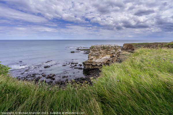 Enchanting Clifftop Scenery at Jack Rock Picture Board by Michael Shannon