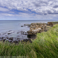 Buy canvas prints of Enchanting Clifftop Scenery at Jack Rock by Michael Shannon