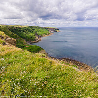 Buy canvas prints of View from Cleveland Way footpath - Kettleness by Michael Shannon