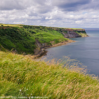 Buy canvas prints of Cleveland Way between Sandsend and Kettleness by Michael Shannon
