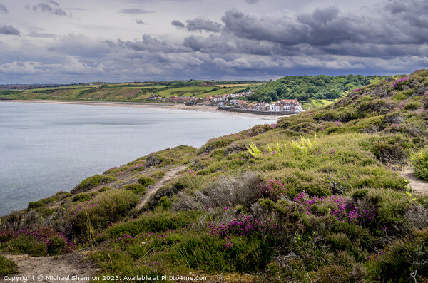 Clifftop view of Sandsend Picture Board by Michael Shannon
