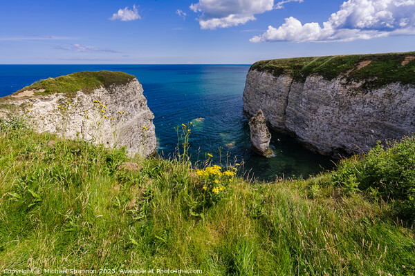 Breathtaking Panorama at Flamborough Head Picture Board by Michael Shannon