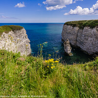 Buy canvas prints of Breathtaking Panorama at Flamborough Head by Michael Shannon