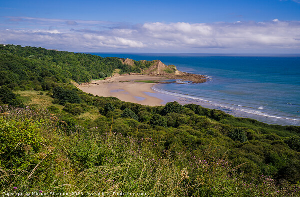 Clifftop view of Cayton Bay, North Yorkshire Picture Board by Michael Shannon