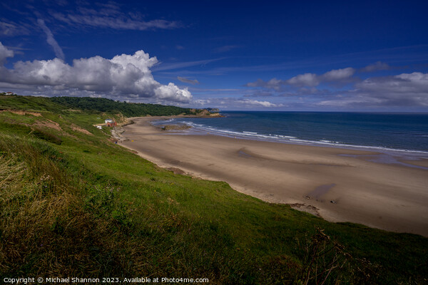 Panoramic Beauty of Cayton Bay Picture Board by Michael Shannon