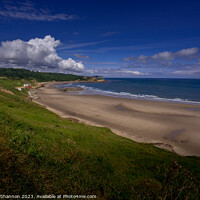 Buy canvas prints of Panoramic Beauty of Cayton Bay by Michael Shannon