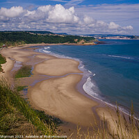 Buy canvas prints of Cayton Bay view from the Cleveland Way by Michael Shannon