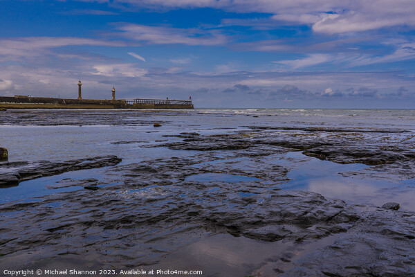 Whitby East Beach at low tide Picture Board by Michael Shannon