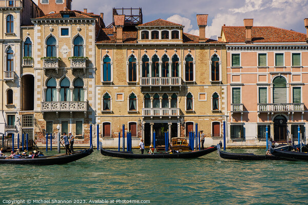 Line of Gondolas on the Grand Canal in Italy Picture Board by Michael Shannon