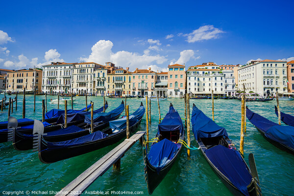 Venice - Grand Canal Picture Board by Michael Shannon