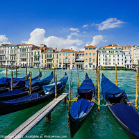 Buy canvas prints of Venice - Grand Canal by Michael Shannon