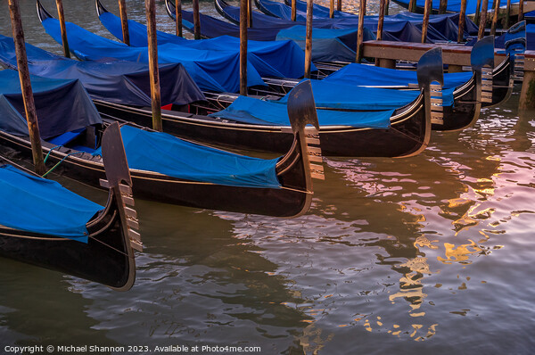 Gondolas Moored at the side of the Grand Canal Picture Board by Michael Shannon