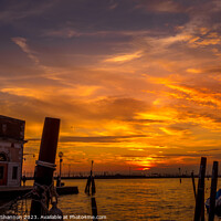 Buy canvas prints of Venice - Silhouettes and Sunset by Michael Shannon