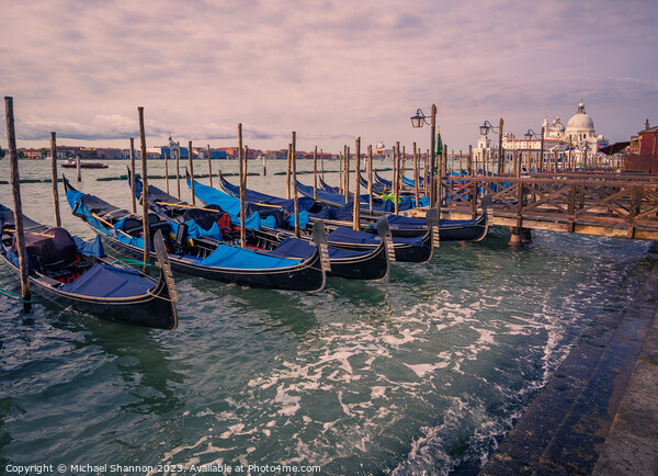 Venice - Blue Gondolas on the Lagoon Picture Board by Michael Shannon