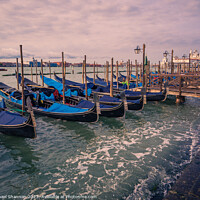 Buy canvas prints of Venice - Blue Gondolas on the Lagoon by Michael Shannon