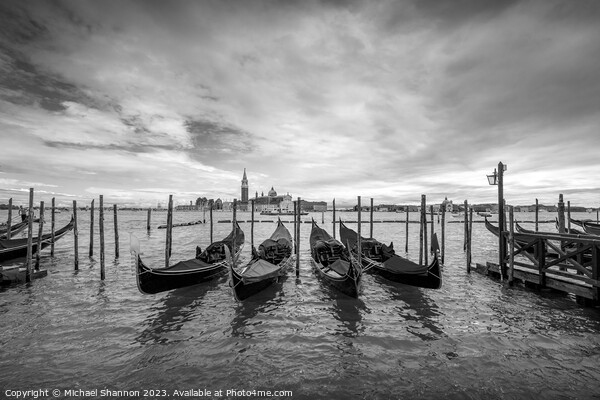 Gondolas moored near St Marks Square, Venice Picture Board by Michael Shannon