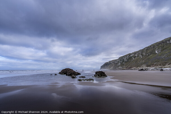 King Rocks Speeton Beach at low tide Picture Board by Michael Shannon