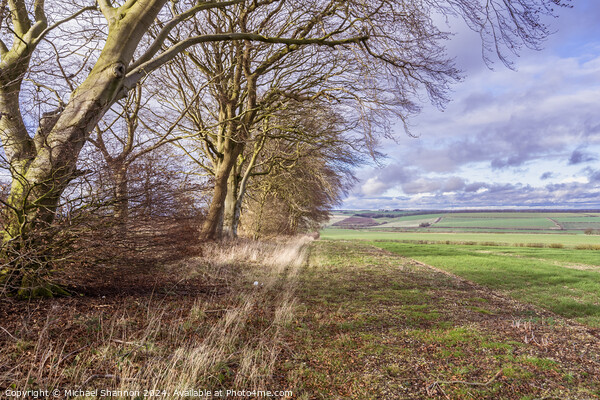 Yorkshire Wolds Countryside Picture Board by Michael Shannon