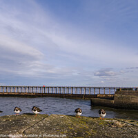 Buy canvas prints of East Pier, Whitby by Michael Shannon