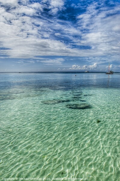 Beautiful clear water off the beach in Panglao Isl Picture Board by Michael Shannon