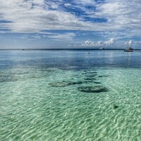 Buy canvas prints of Beautiful clear water off the beach in Panglao Isl by Michael Shannon