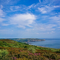 Buy canvas prints of Robin Hoods Bay on a summer's day by Michael Shannon