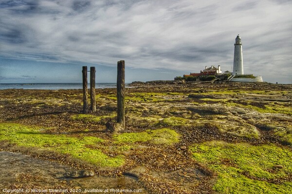 St Mary's Island and Lighthouse, Northumberland Picture Board by Michael Shannon