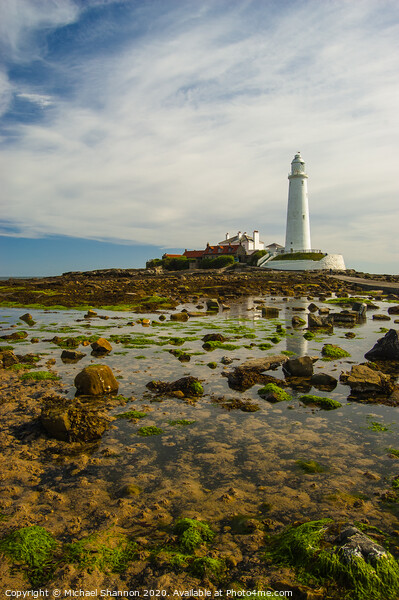 St Marys Island, Northumberland Picture Board by Michael Shannon