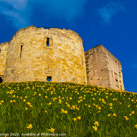 Buy canvas prints of Cliffords Tower in York by Michael Shannon