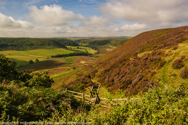 Path leading down to the Hole of Horcum Picture Board by Michael Shannon