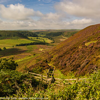 Buy canvas prints of Path leading down to the Hole of Horcum by Michael Shannon