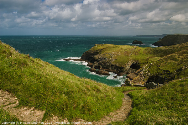 Cliff path leading to beach at Tintagel, Cornwall Picture Board by Michael Shannon