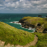 Buy canvas prints of Cliff path leading to beach at Tintagel, Cornwall by Michael Shannon