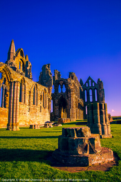 Sunlit Whitby Abbey, North Yorkshire Picture Board by Michael Shannon