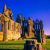 Buy canvas prints of Sunlit Whitby Abbey, North Yorkshire by Michael Shannon