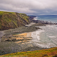 Buy canvas prints of Duckpool Beach, Cornwall by Michael Shannon