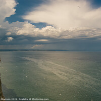 Buy canvas prints of Seabirds at Bempton Cliffs on the North Yorkshire  by Michael Shannon