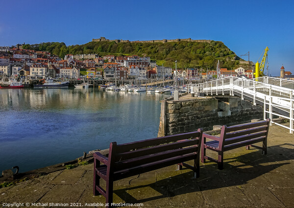 Scarborough Harbour under blue skies on a sunny da Picture Board by Michael Shannon