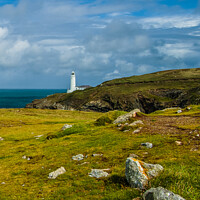 Buy canvas prints of Trevose Head Lighthouse in Cornwall by Michael Shannon