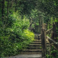 Buy canvas prints of Path in the woods by Sarah Paddison