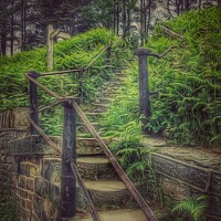 Buy canvas prints of Stairway into forest by Sarah Paddison