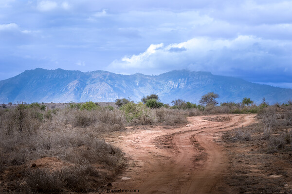 Chyulu Hills in Tsavo National Park, Kenya Picture Board by Sarah Paddison